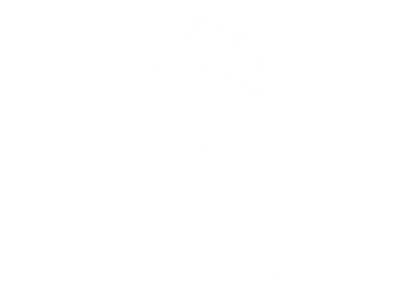 Lake Point Commons