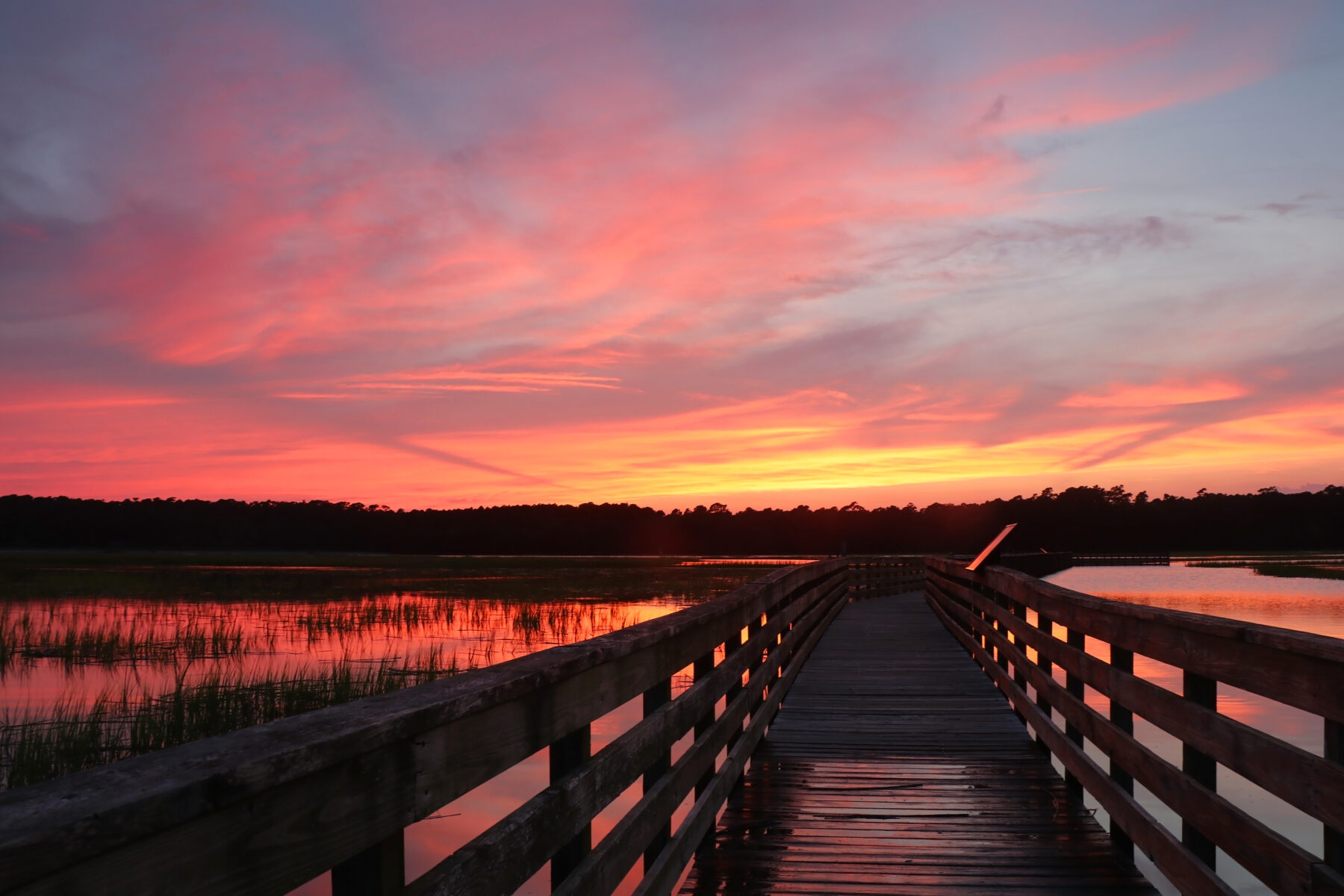 Huntington Beach State Park